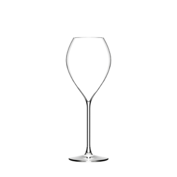 Gd Champagne - 30 cl - Lehmann Reims - France (Set of 12)