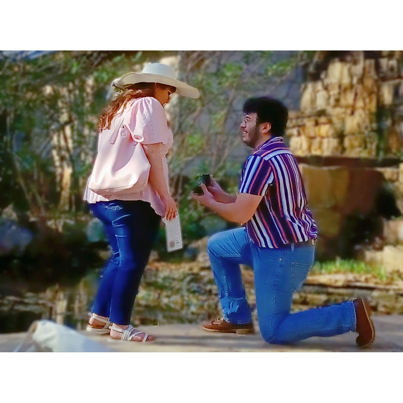 The proposal at Ladybird Wildflower Center on March 12th, 2025