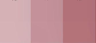 The Wedding Website of Nicole Kollars and Jack Young