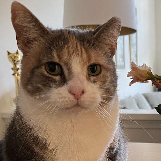 Our shy little Colleen (aka Sweet Pea)