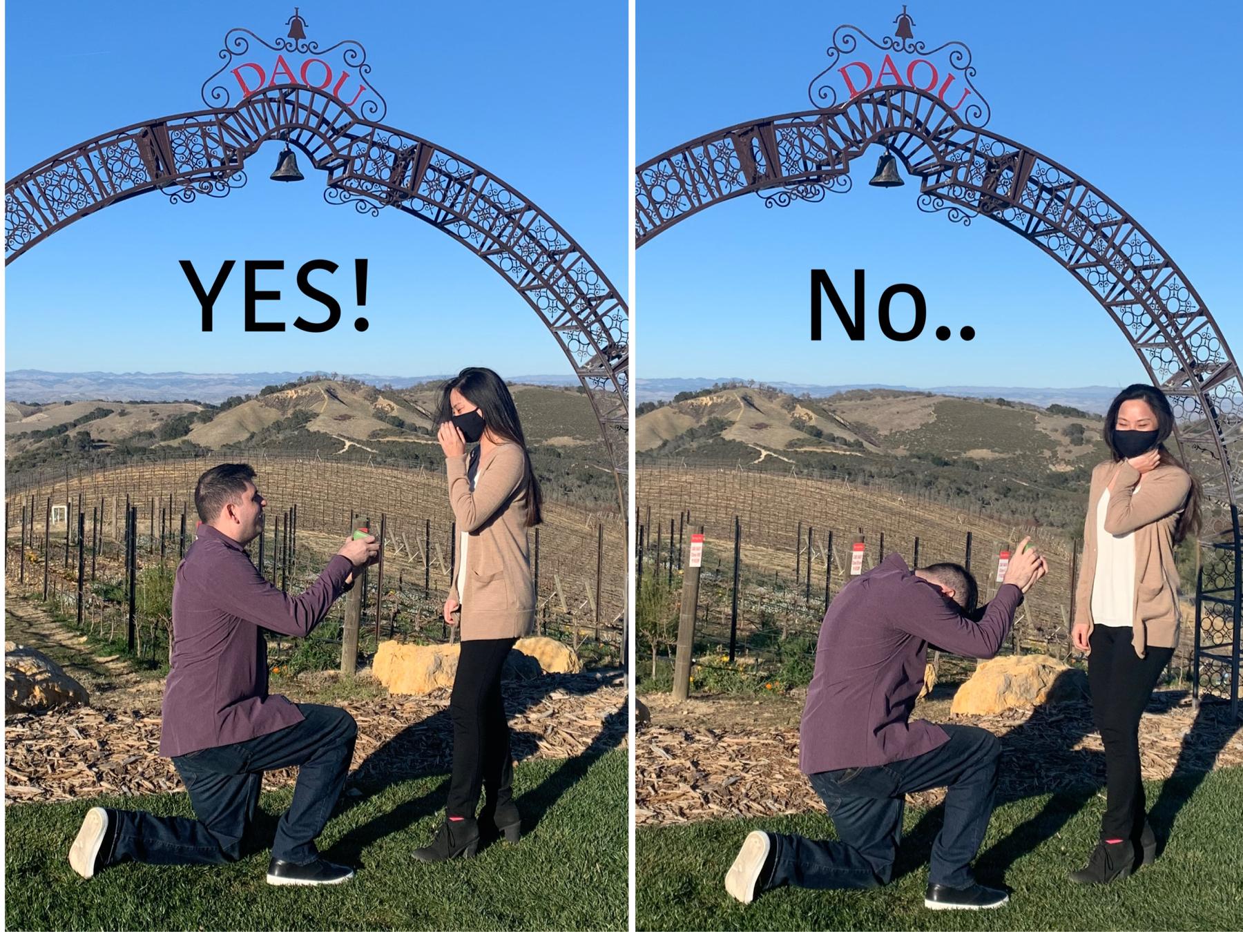The Wedding Website of Shannon Ota and Timothy DeWitt