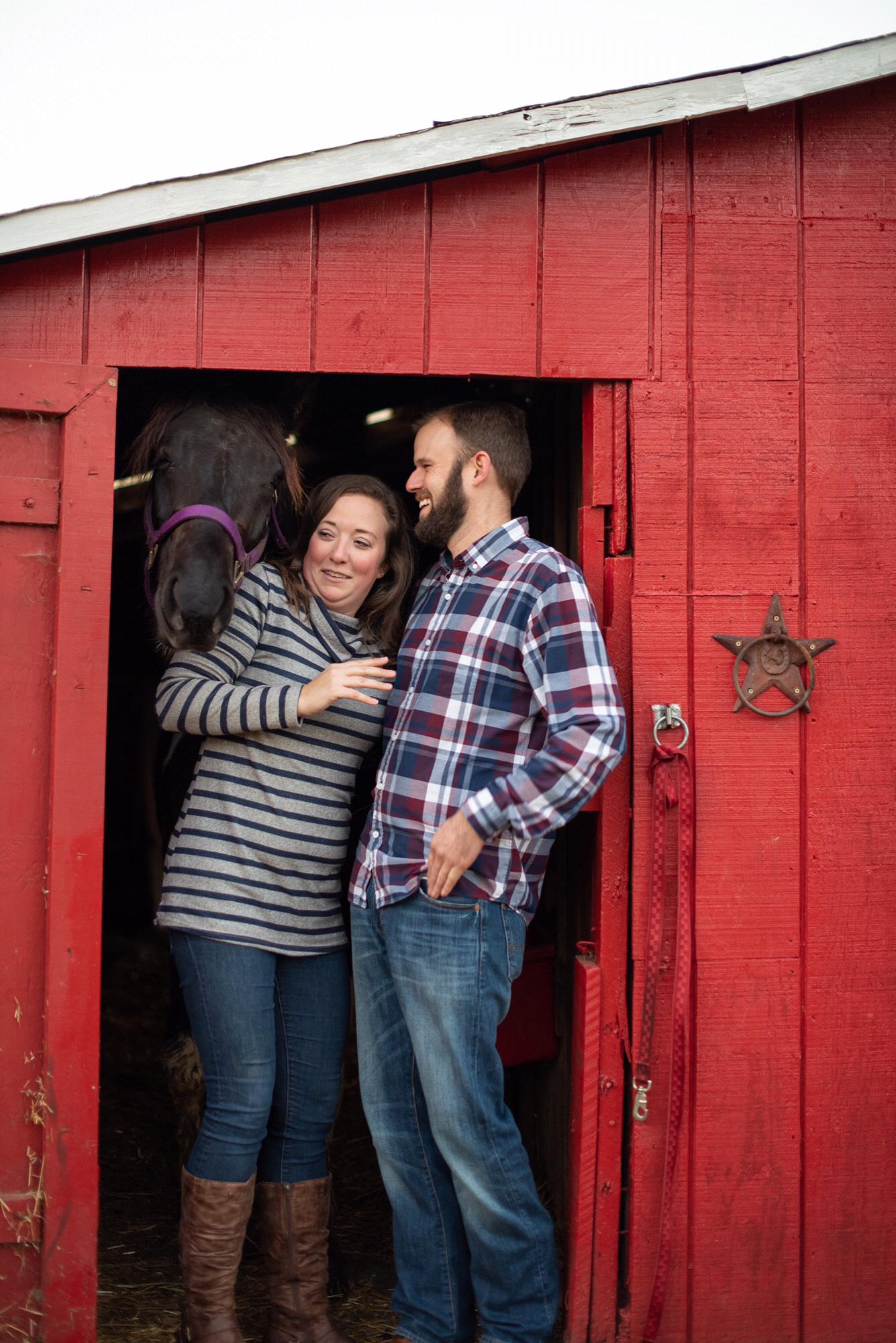 Addie the horse likes to photobomb people when they decide to take pictures in her barn.