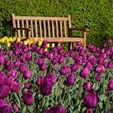 Cantigny Park