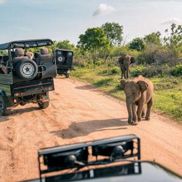 Sabi Sands (Kruger National Park)
