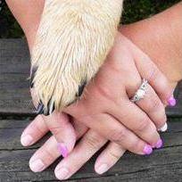 Engagement Photos Summer 2018 - getting Chloe to participate in this photo was much harder than it looks