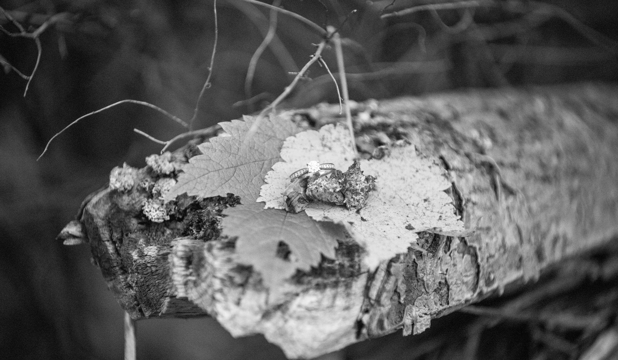 Hero Slideshow Image 4