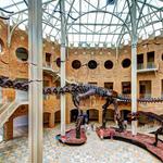 Fernbank Museum | 3D Theater | Forest