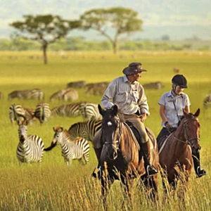 Honeymoon Safari Horseback Riding Adventure