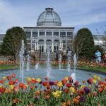 Lewis Ginter Botanical Garden