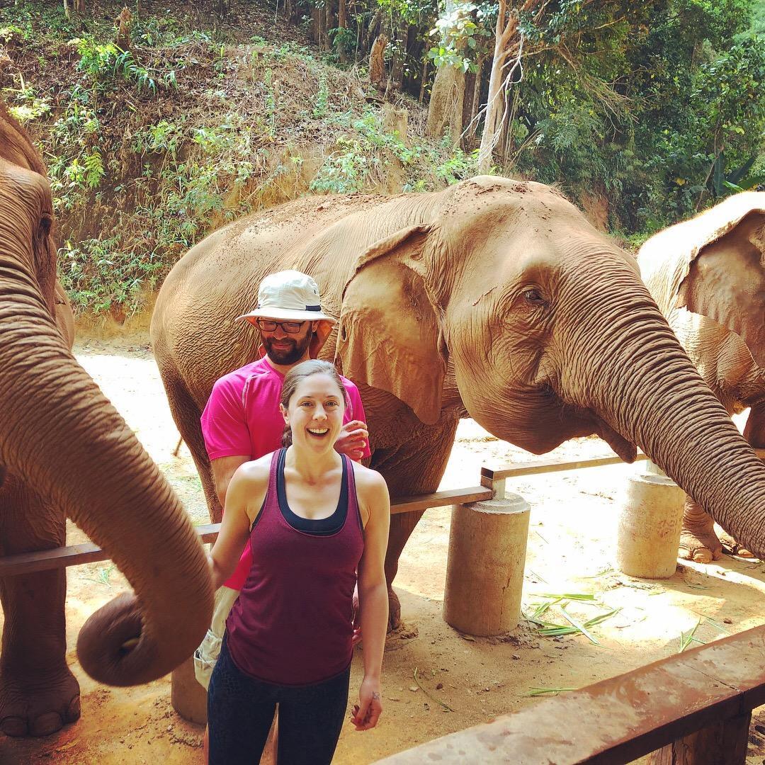 Thailand! Chiang Mai, Elephant Nature Park. February 2018
