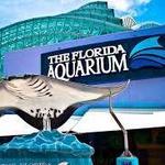 The Florida Aquarium
