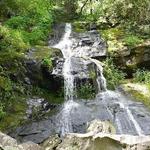Hen Wallow Falls