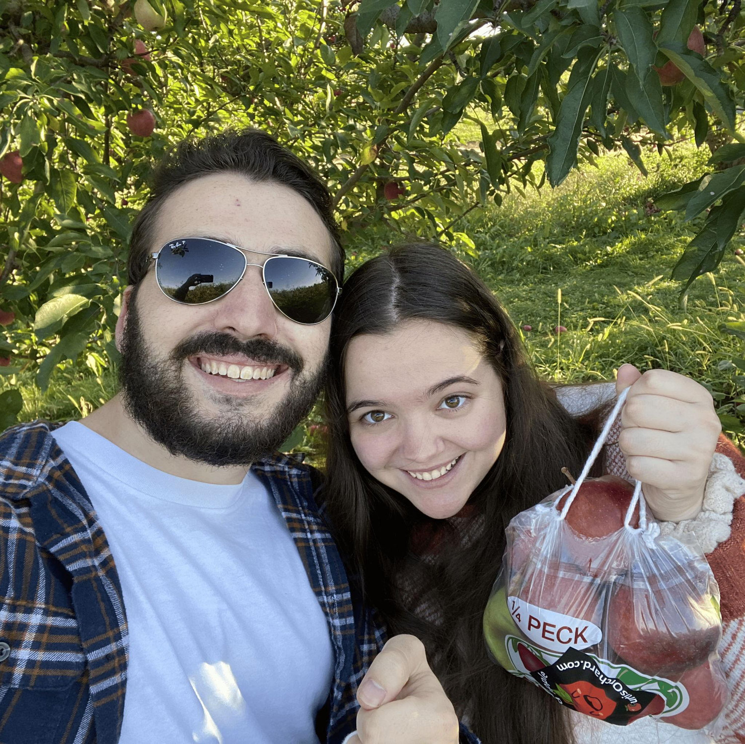 Apple picking, first of many