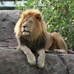 Sedgwick County Zoo
