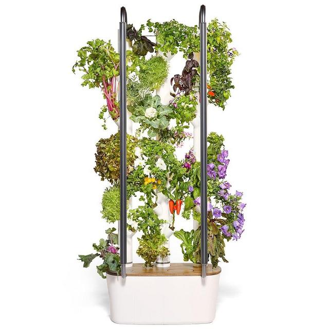 New Gardyn 4.0 Hydroponics Growing System & Vertical Garden Planter | Indoor Smart Garden| Includes 30 Non-GMO Indoor Plants, Herbs & Vegetables & LED Grow Lights for Your Home Indoor Gardening System