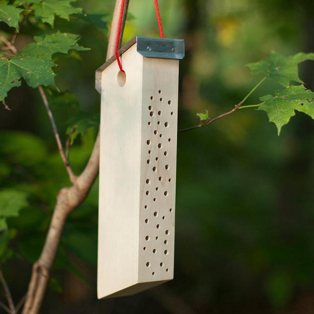 Mason Bee House