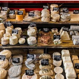 Bordeaux Old Town Food and Wine Tour
