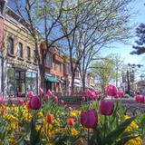 Pearl Street Mall