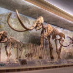 University of Nebraska State Museum - Morrill Hall