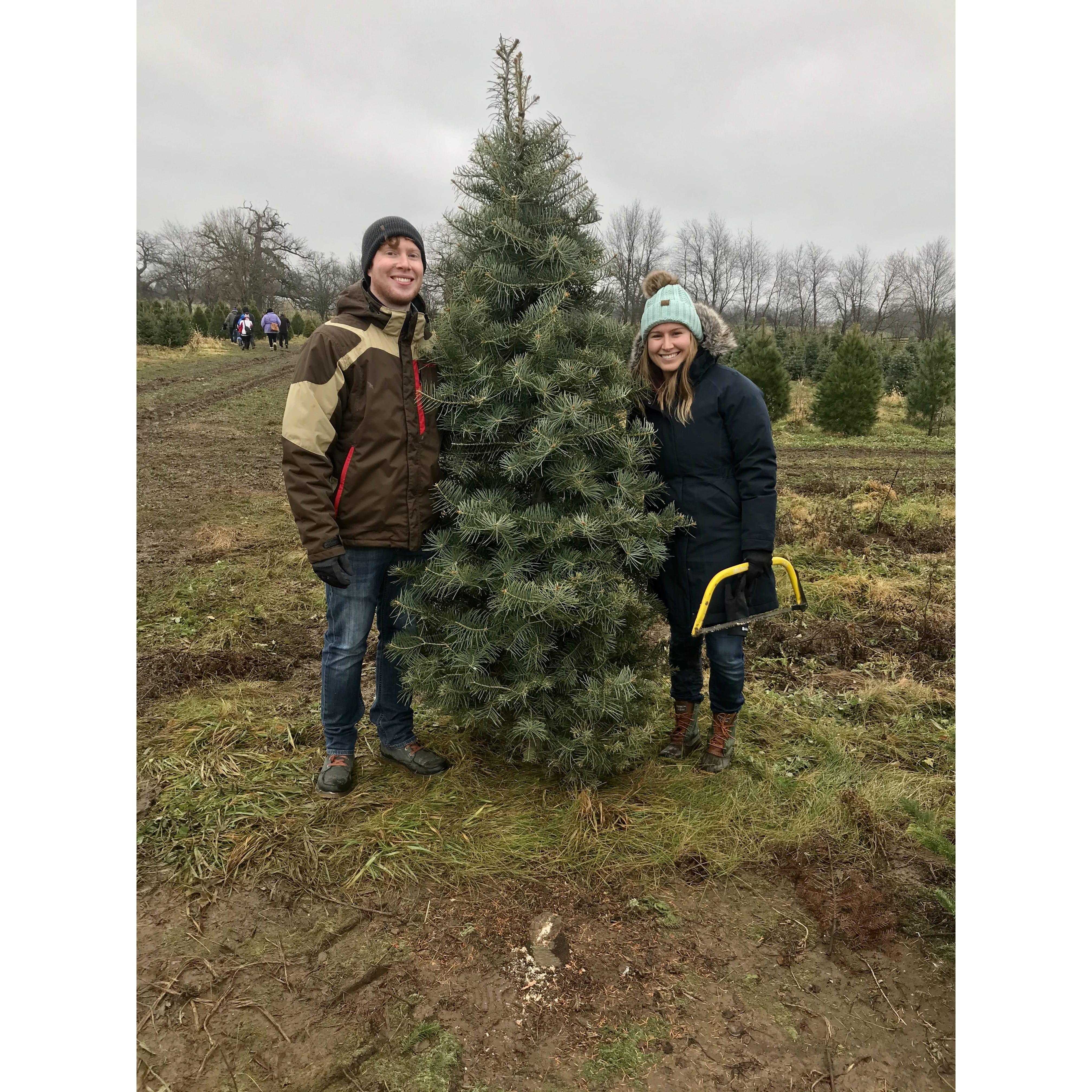 Our 1st Christmas Tree | December 2019