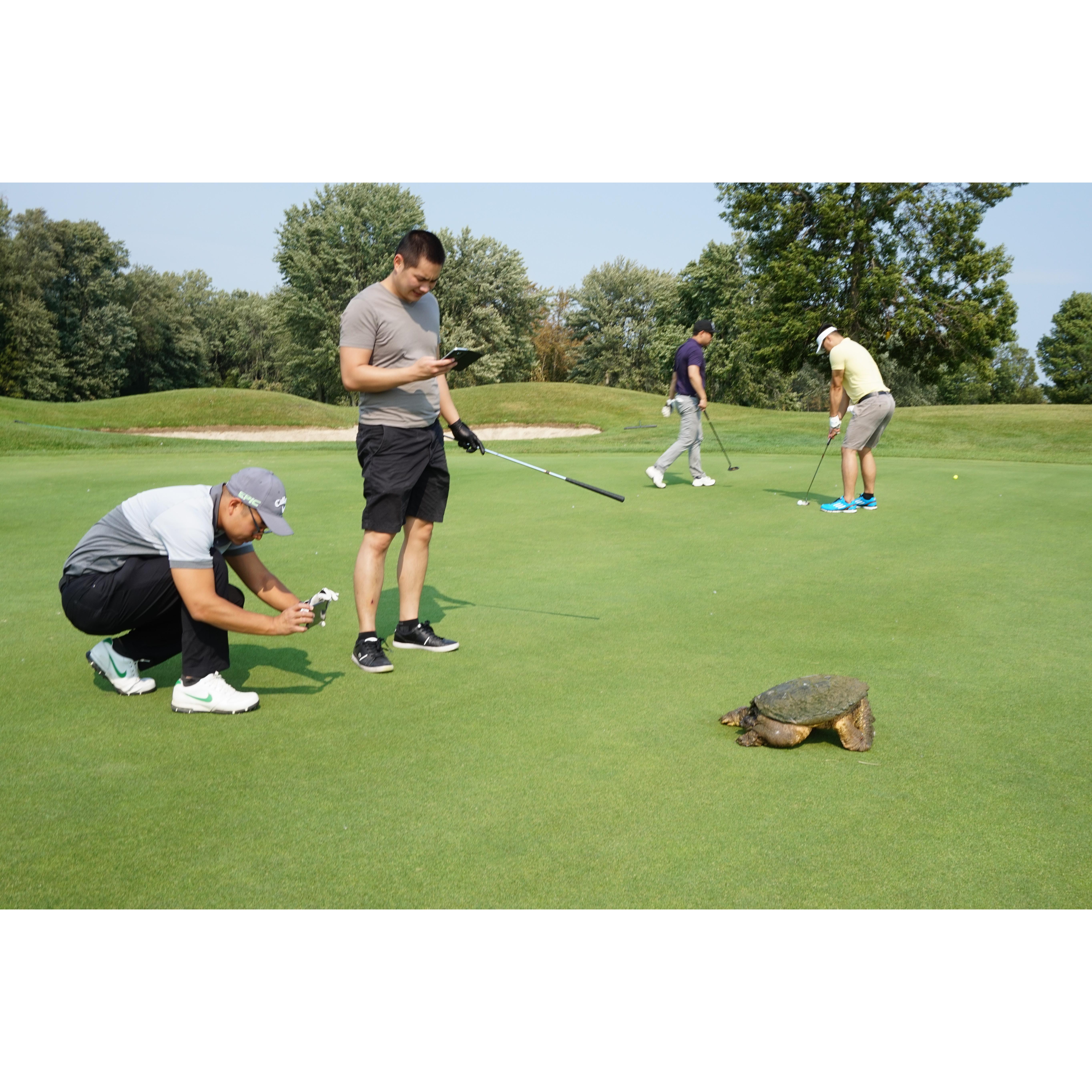 While we were golfing, a tortoise determined to stop by to join us.