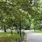 McCarren Park
