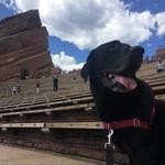 Red Rocks Park and Amphitheatre