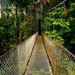 Hanging Bridges, Waterfall Hike & Local Home Visit Tour