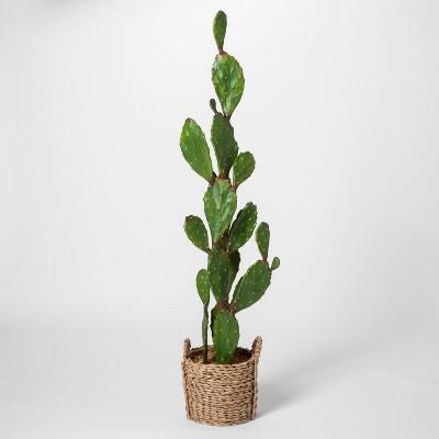 61" x 18" Artificial Cactus In Basket Green/Brown - Opalhouse&#153;