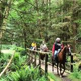 Crescent Trail Rides