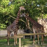Lehigh Valley Zoo