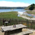 Hog Island Oyster Co