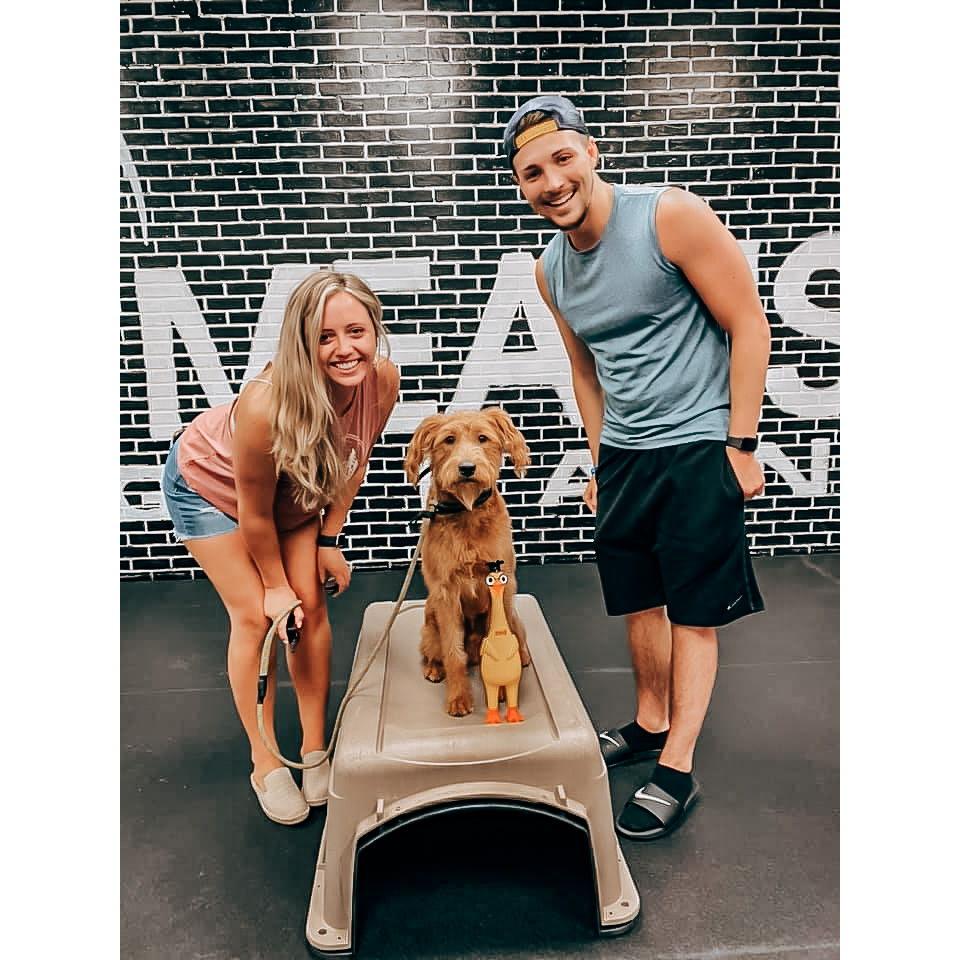 Honey’s doggie training graduation!