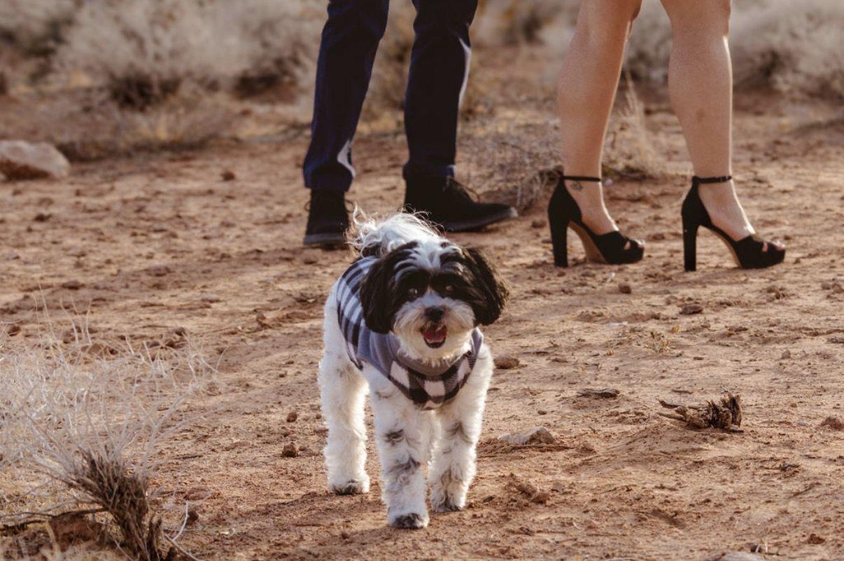 The Wedding Website of Jade Lactaoen and Talon Hathy