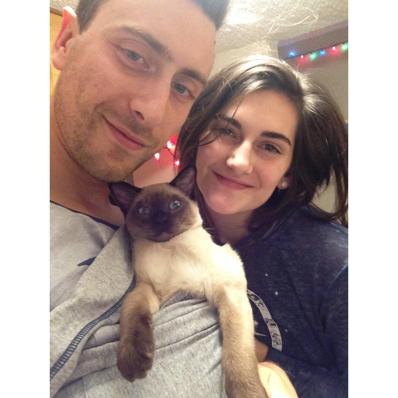 Jan 2018
Little baby Zouki, our cat! We probably had only had him for a couple weeks in this pic.