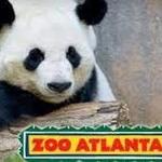 Zoo Atlanta