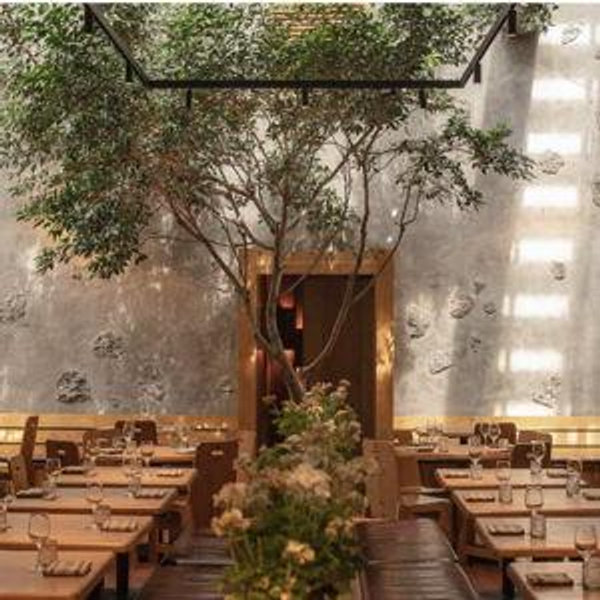 Fancy dinner in mexico city