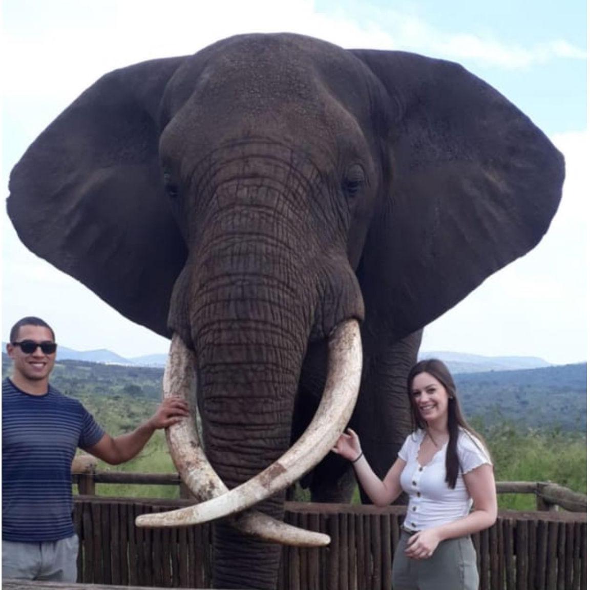 South Africa, 2019