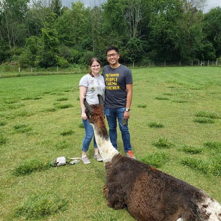 Summer road trip- Llama and alpaca farm. 2021