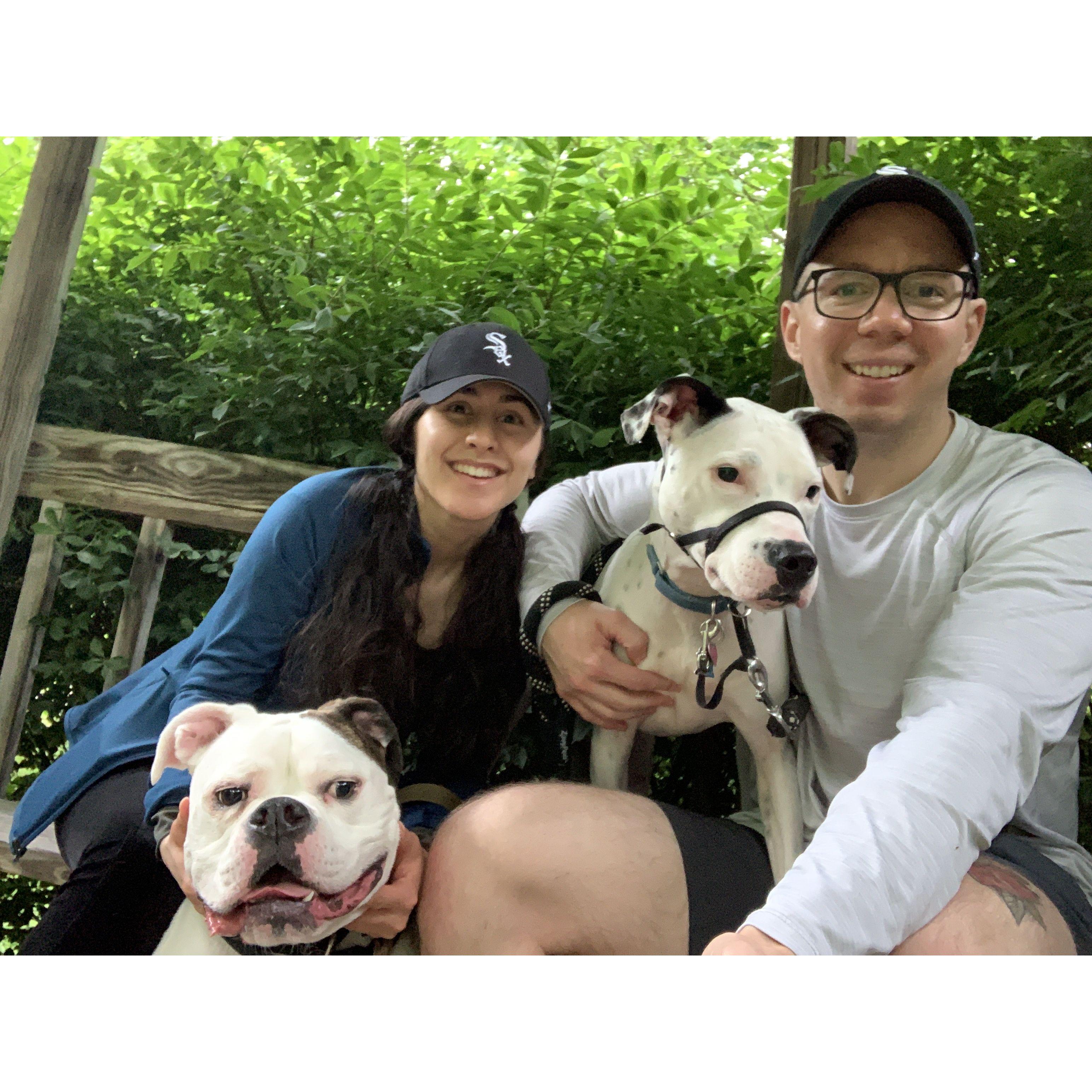 Taking the dogs on a walk through Huckleberry Trail in Blacksburg, VA - May 2020