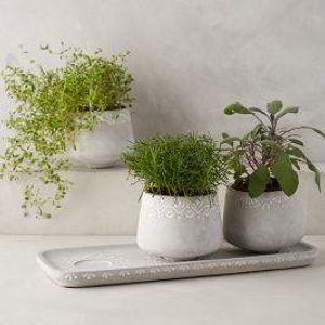 Netara Herb Planter Set