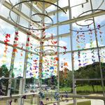 Louisiana Children's Museum