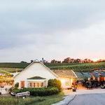 Black Ankle Vineyards