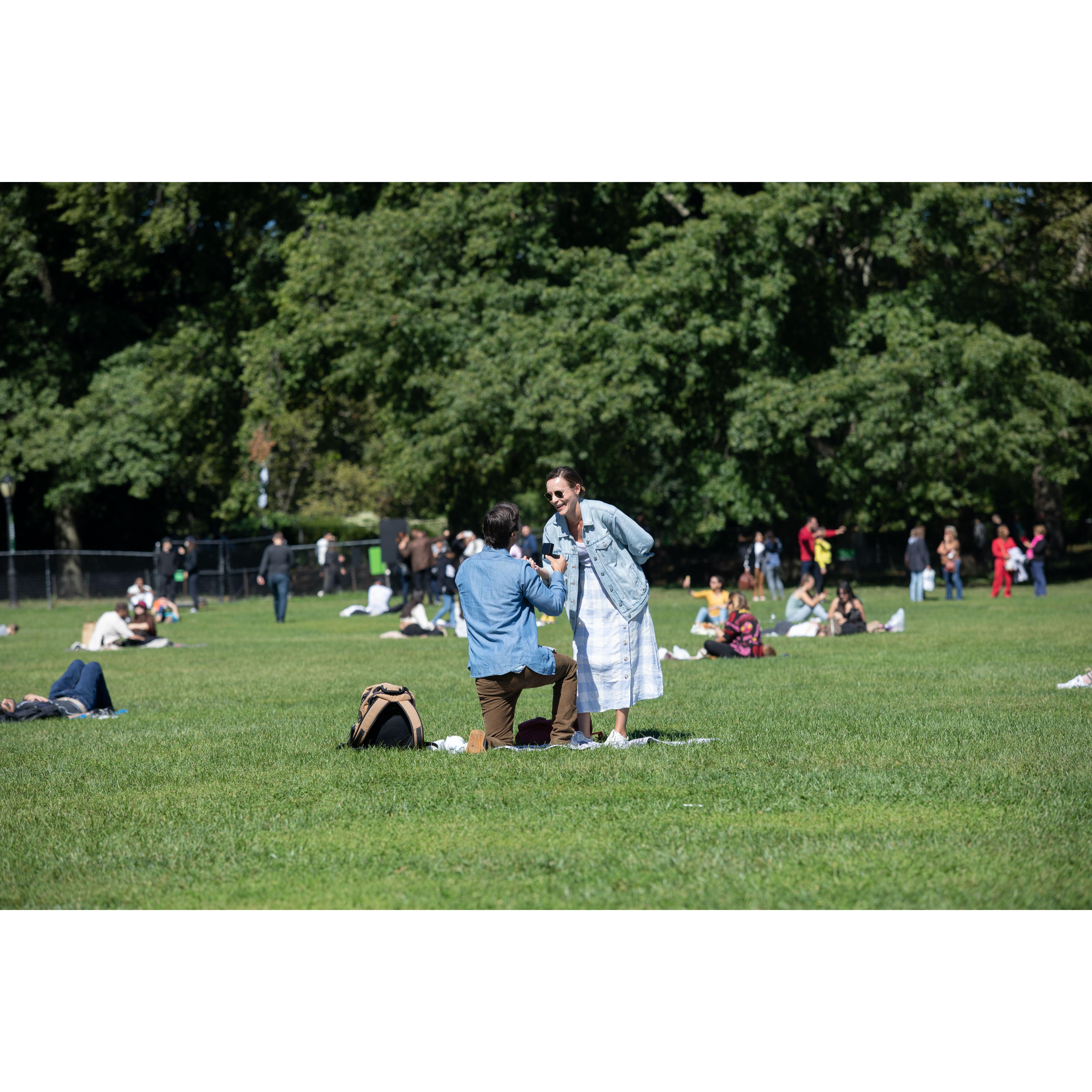 When Brad proposed in Central Park!