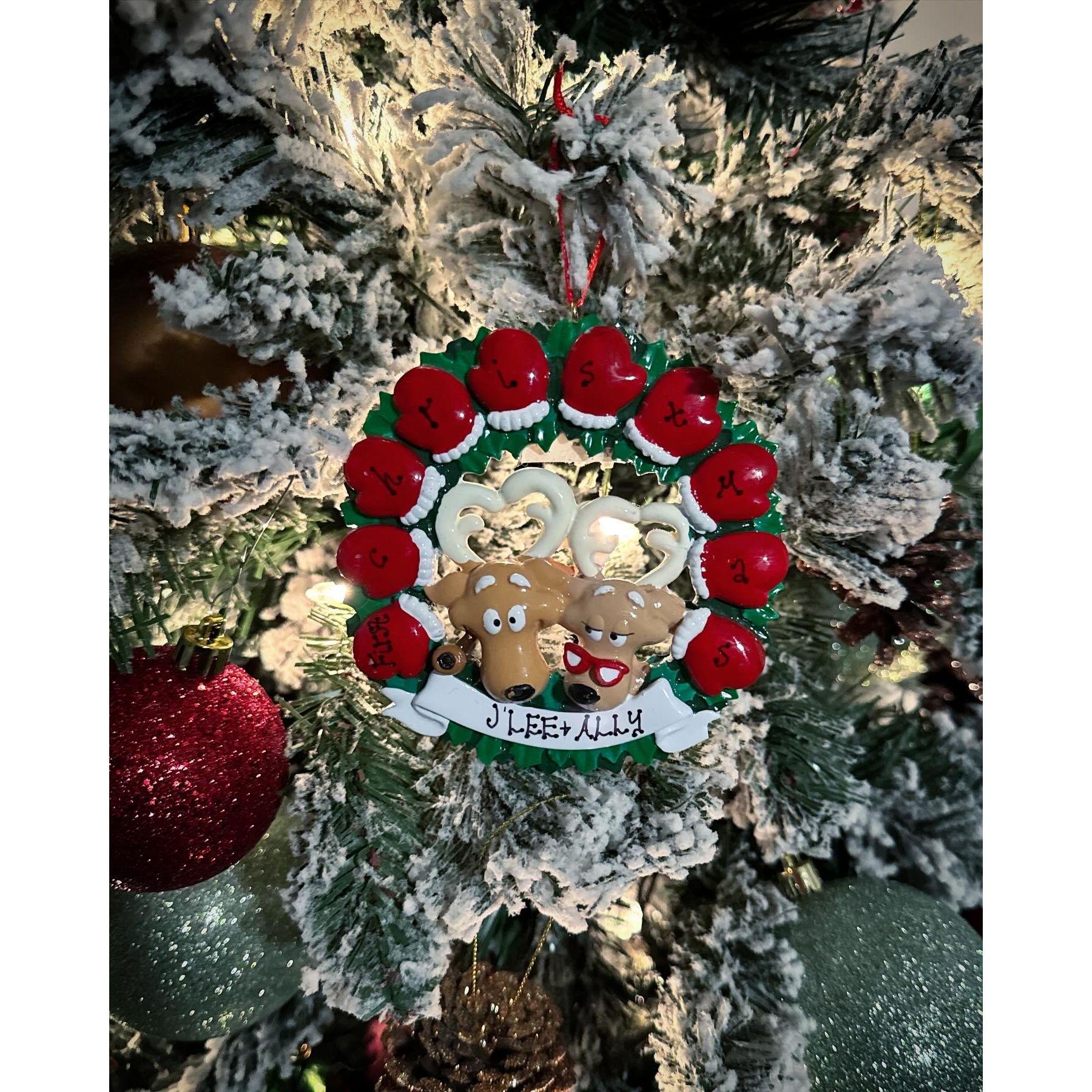 We started our own Christmas ornament tradition!