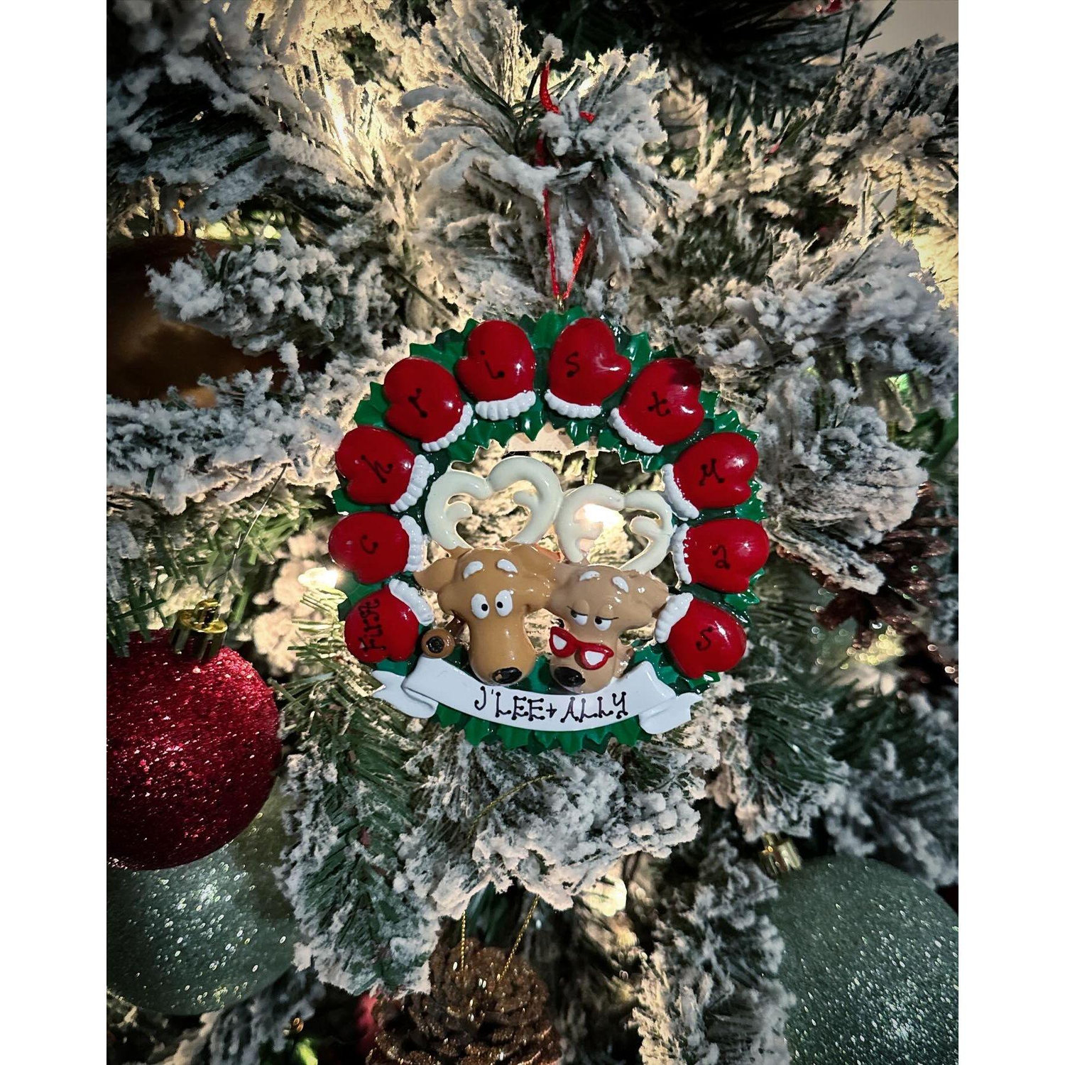 We started our own Christmas ornament tradition!