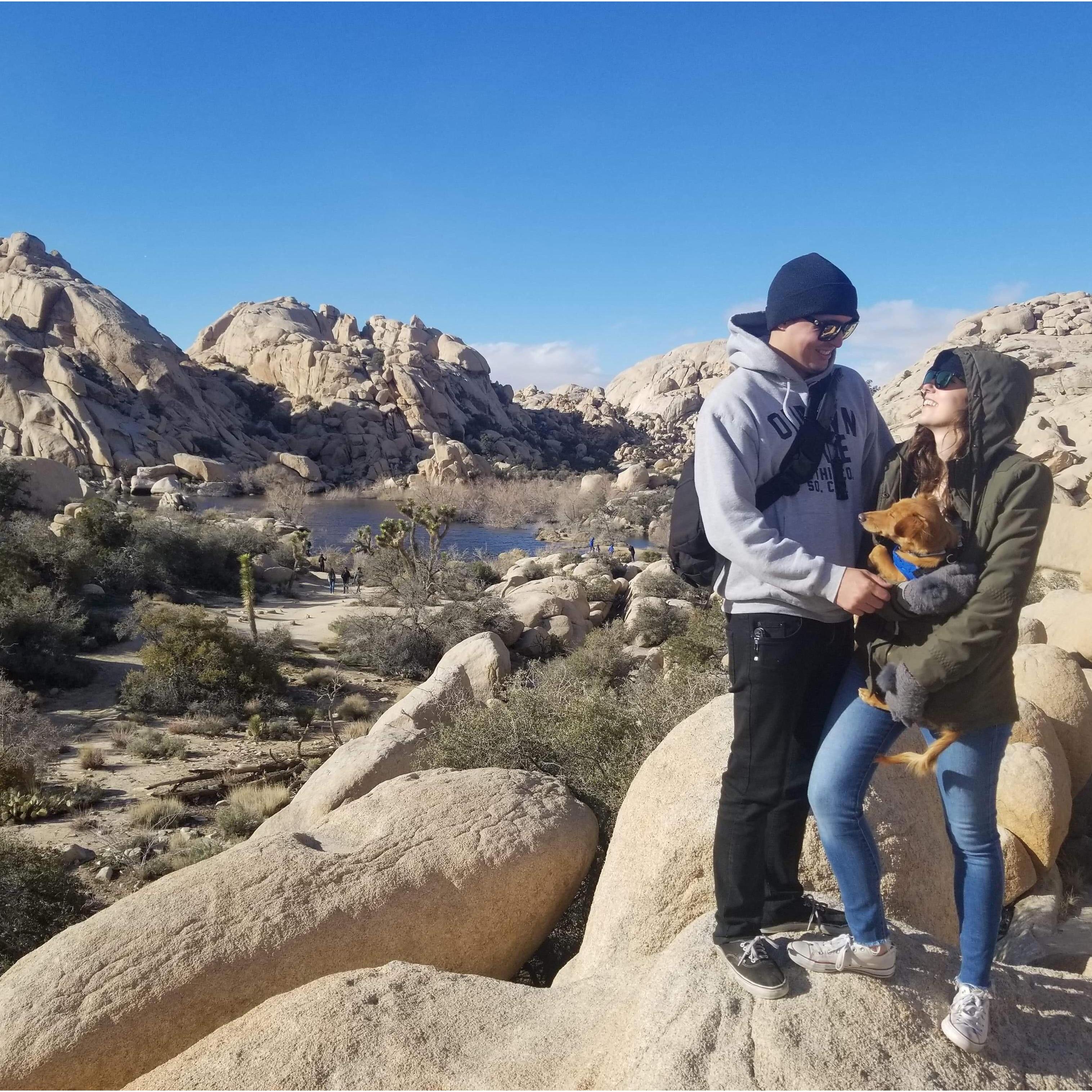 Freezing in Joshua Tree - our first adventure with Benji.