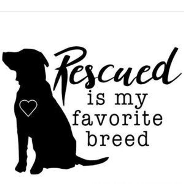 Pup Fund - Contribute in memory of Peanut + Wyatt as we expand our family by rescuing another pup.