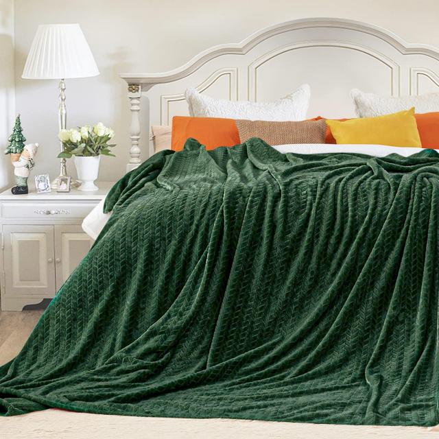 Inhand Fleece Throw Blankets, Super Soft Flannel Cozy Blankets for Adults, Washable Lightweight Fuzzy Blanket for Couch Sofa Bed Office, Queen Size Warm Plush Blankets for All Season (90"×90", Green)