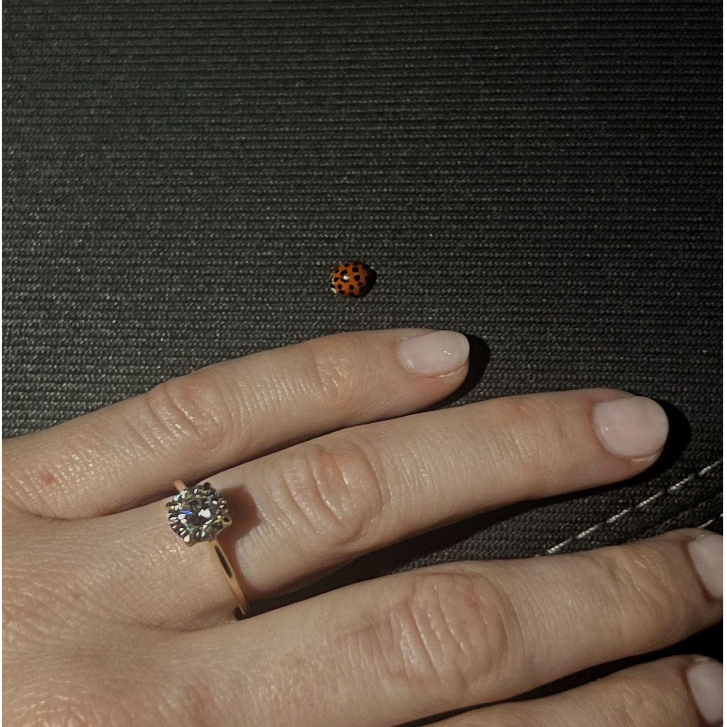 Found a lady bug in the car right after ryan proposed...a sign of good luck!